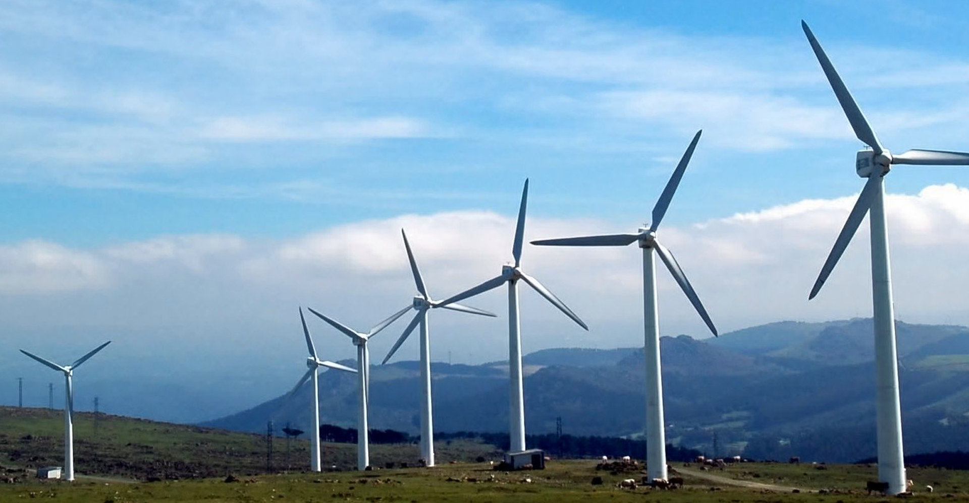 Windmill farm clearance