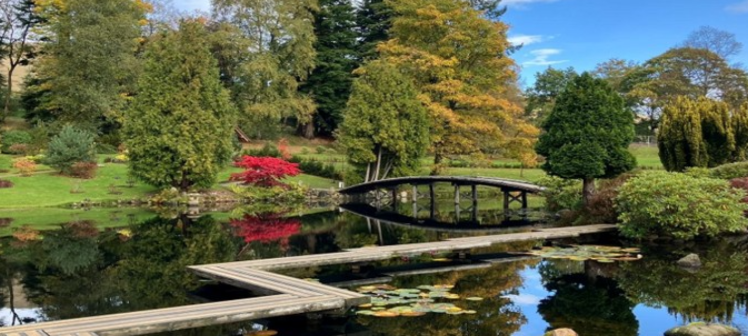 japanese garden