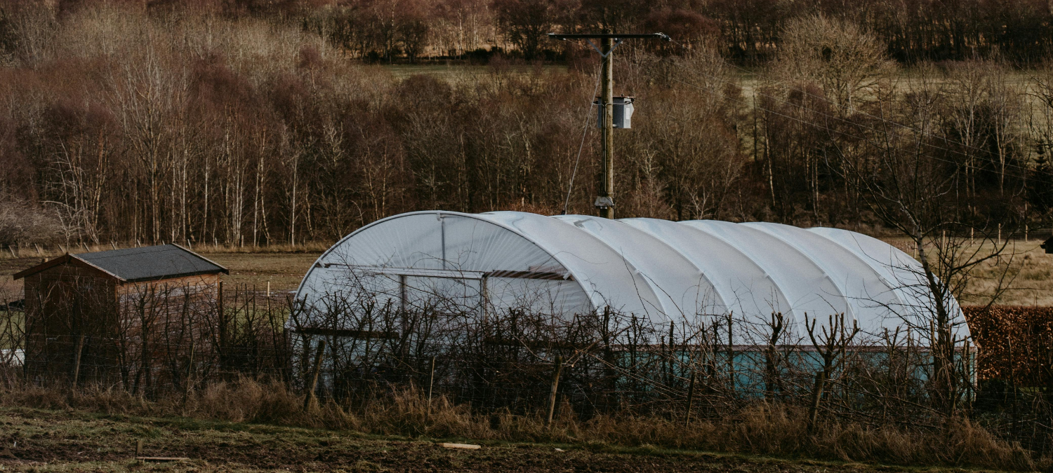 polytunnel