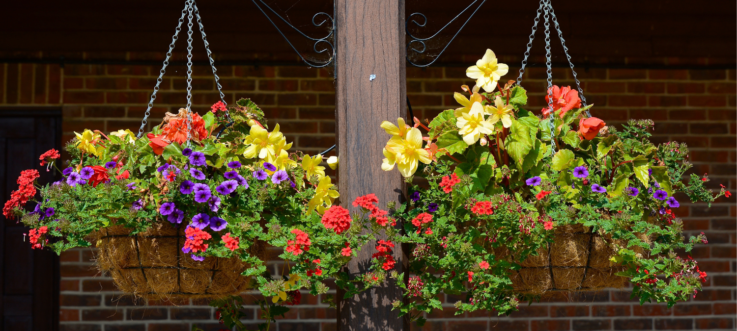 hanging flower pots