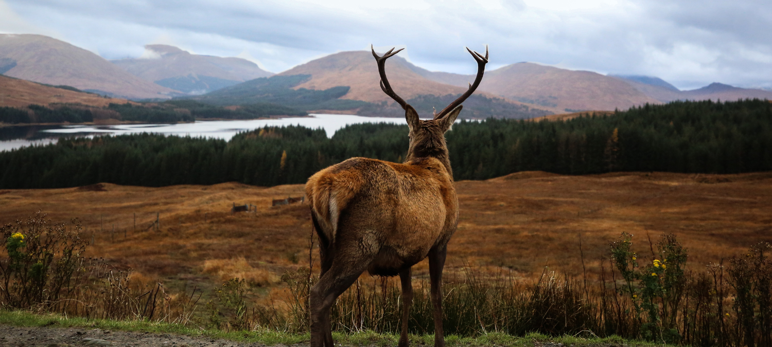 Transforming career paths and supporting change