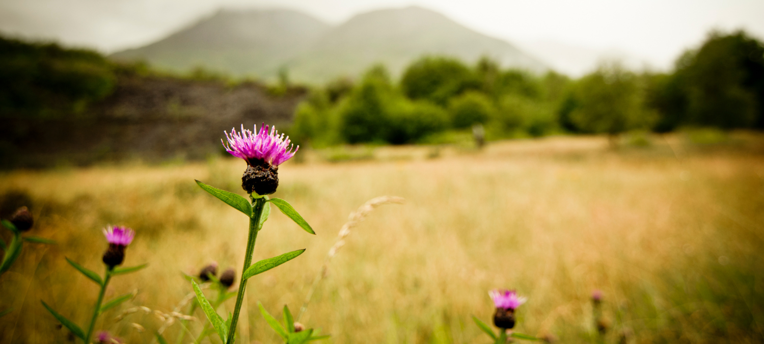 Braw Clan – A Community’s Story