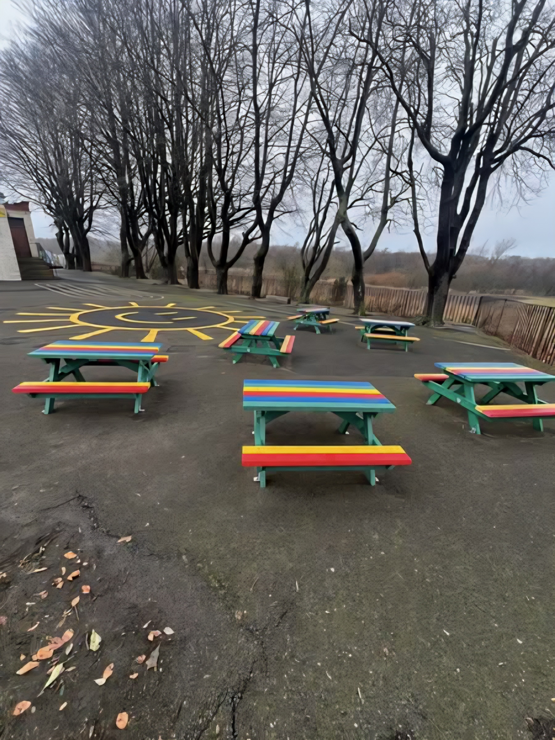 colourful benches