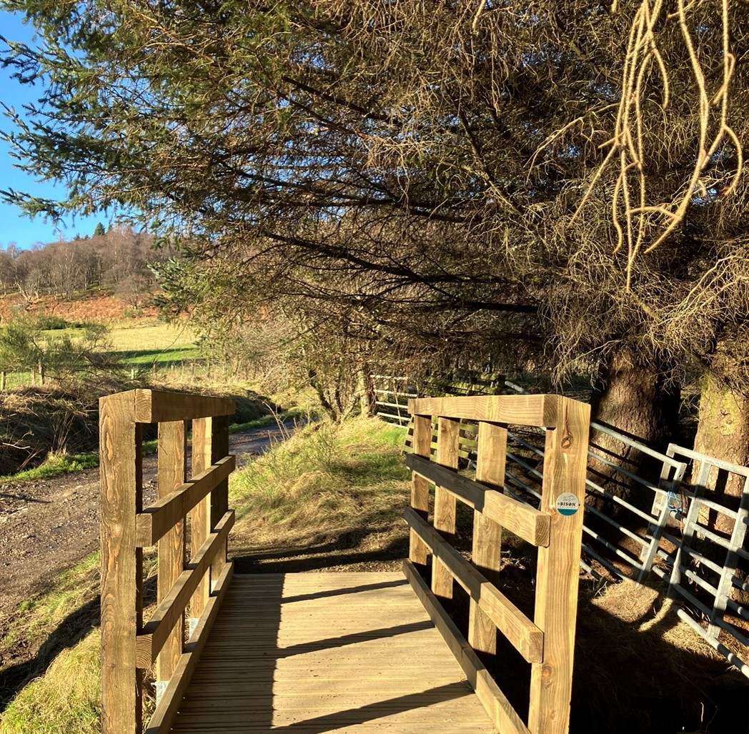 footbridge